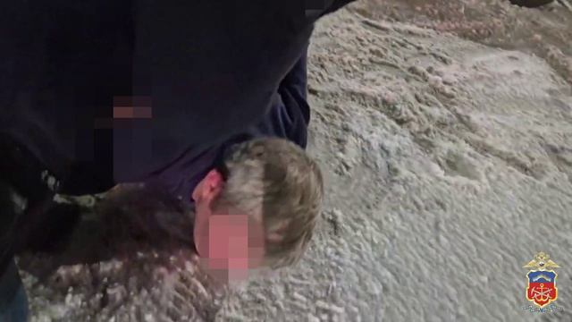 Почти 4 кг «соли» обнаружила мурманская полиция в машине двух оптовых наркокурьеров из Петербурга смотреть онлайн