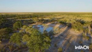 ЕЩЁ ЧУТЬ ЧУТЬ И МЫ БЫ ИХ НЕ СПАСЛИ.