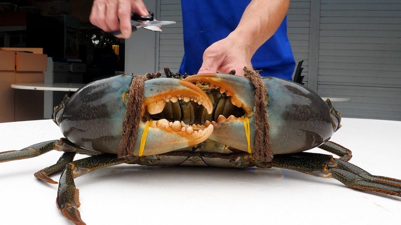 Гигантский краб чили, сингапурская еда смотреть онлайн