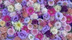 Ланфрен-ланфра- песня из кф Гардемарины, вперед!