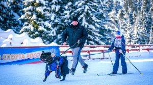 Югорчан и их четверолапых друзей приглашают принять участие в состязании «Северный ветер»