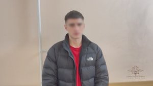 Ирина Волк: Петербургские полицейские задержали подозреваемых в краже денег со счетов граждан