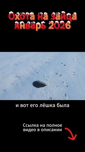Охота на зайца январь 2026 смотреть онлайн