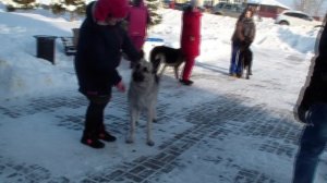 HDV_5798рабочий