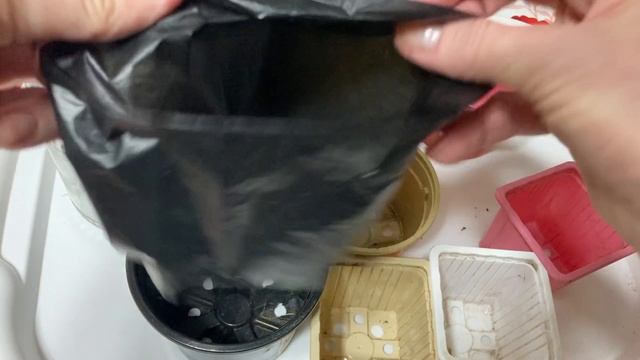 Какие стаканчики использую для рассады.