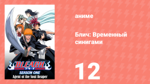 Блич: Временный синигами 12 серия (аниме-сериал, 2004)