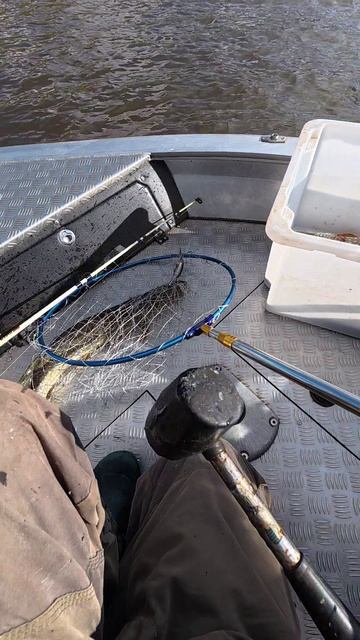 Она тихо шла и не выдавала Себя!!! смотреть онлайн