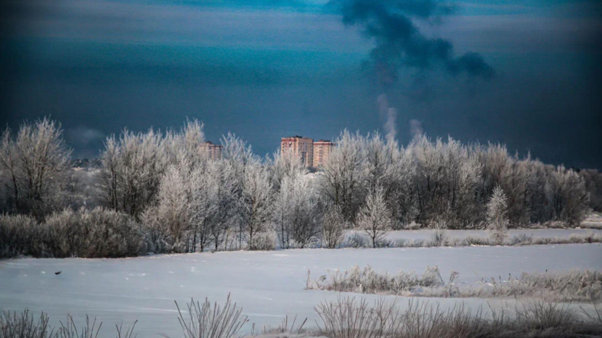 Тридцатиградусные морозы обрушились на Москву и Подмосковье смотреть онлайн