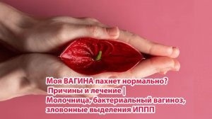 Моя ВАГИНА пахнет нормально? Причины и лечение  Молочница, бактериальный вагиноз