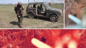 Смотрим. Слушаем. Читаем.