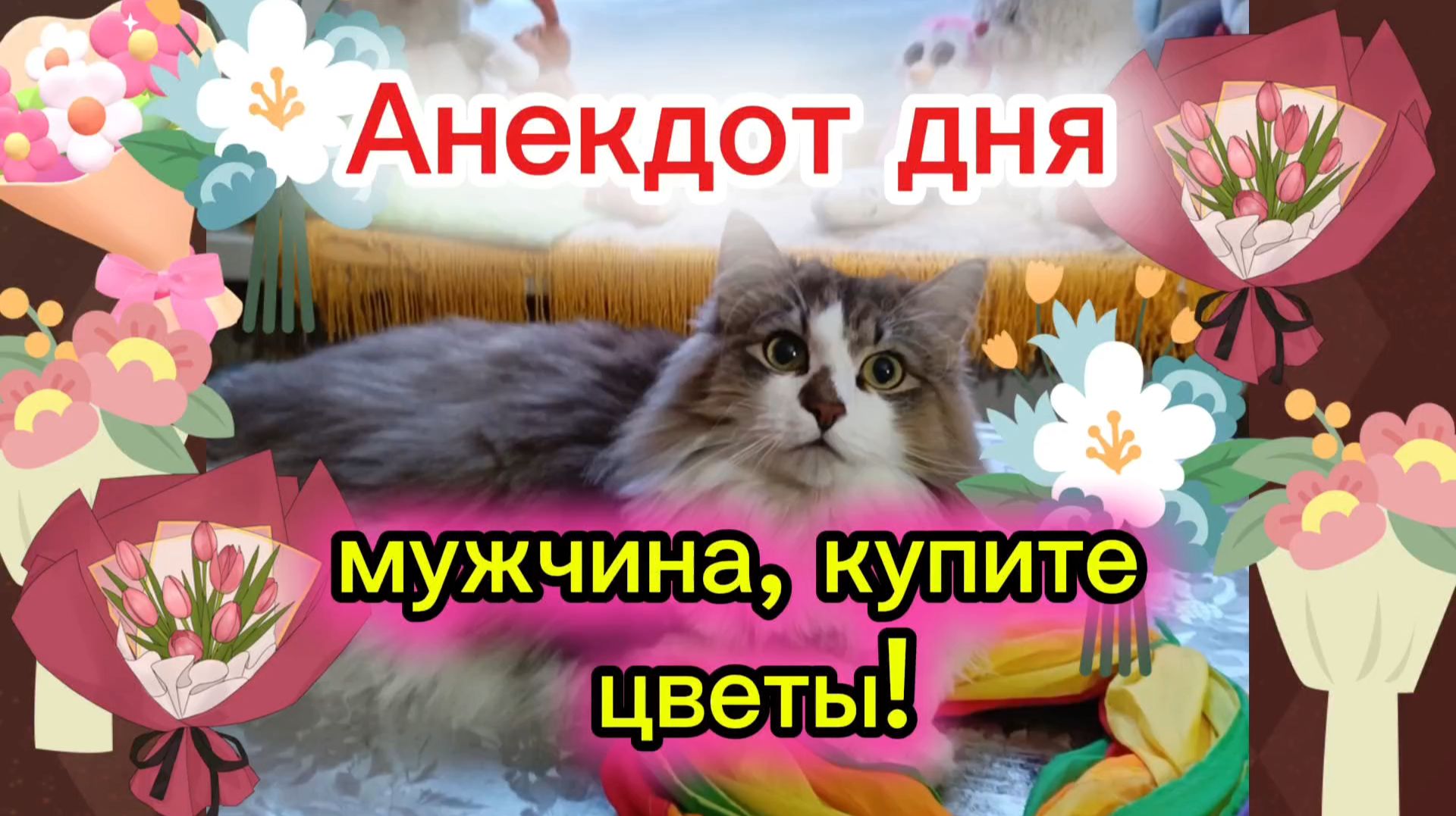 СМЕХ ДО СЛЁЗ. Анекдот дня. смотреть онлайн