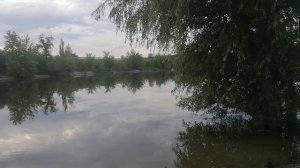 Поиск с металлоискателем на дачном пляже