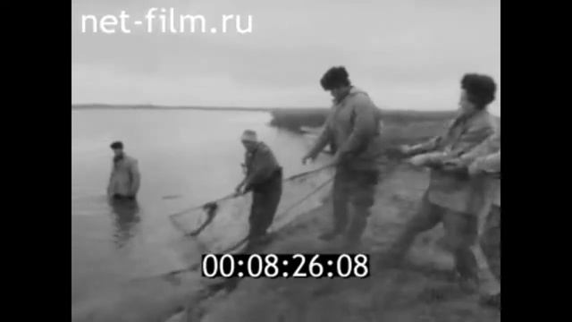 1985г. с. Квасниковка колхоз Путь рыбака Энгельсский район Саратовская обл смотреть онлайн