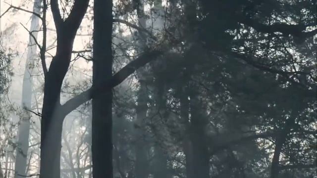 День, который все изменит. Важный гороскоп на 26 января. смотреть онлайн