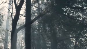 День, который все изменит. Важный гороскоп на 26 января.