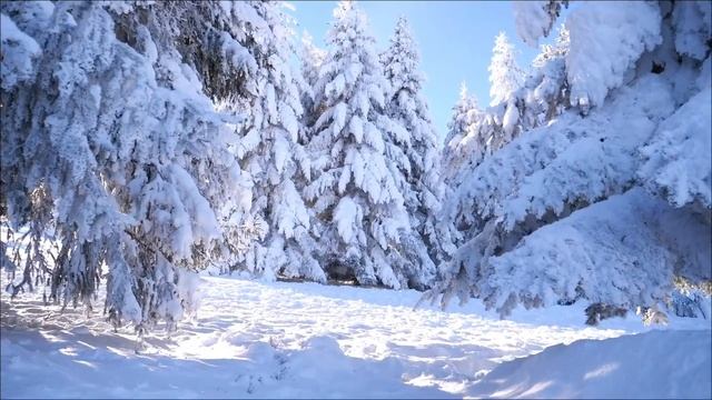 Только 26 января обязательно положите это в кошелёк. смотреть онлайн