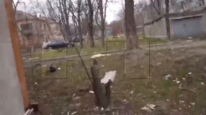 СВО хроники