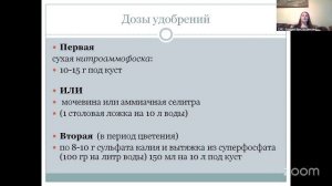 ОНЛАЙН САДОВОДСТВО  С ЕВГЕНИЕЙ ЧЕРНЫШОВОЙ  26.01 16:00