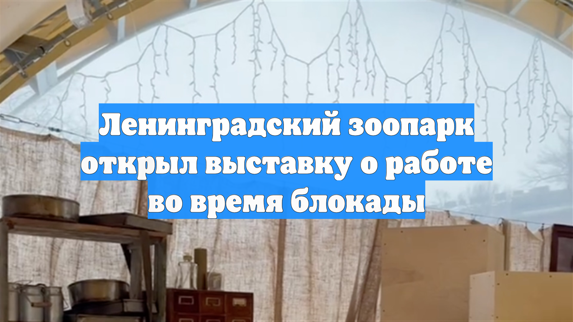 Ленинградский зоопарк открыл выставку о работе во время блокады смотреть онлайн