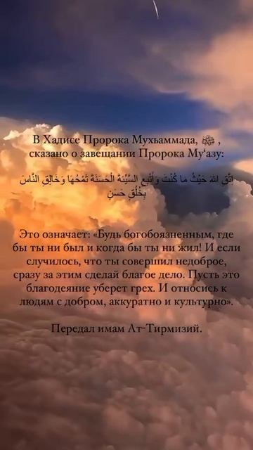 Завещание Пророка Мухаммада (Мир Ему и Благословение Аллагьа). Шейх Шамиль аш-Шафи'ий. смотреть онлайн