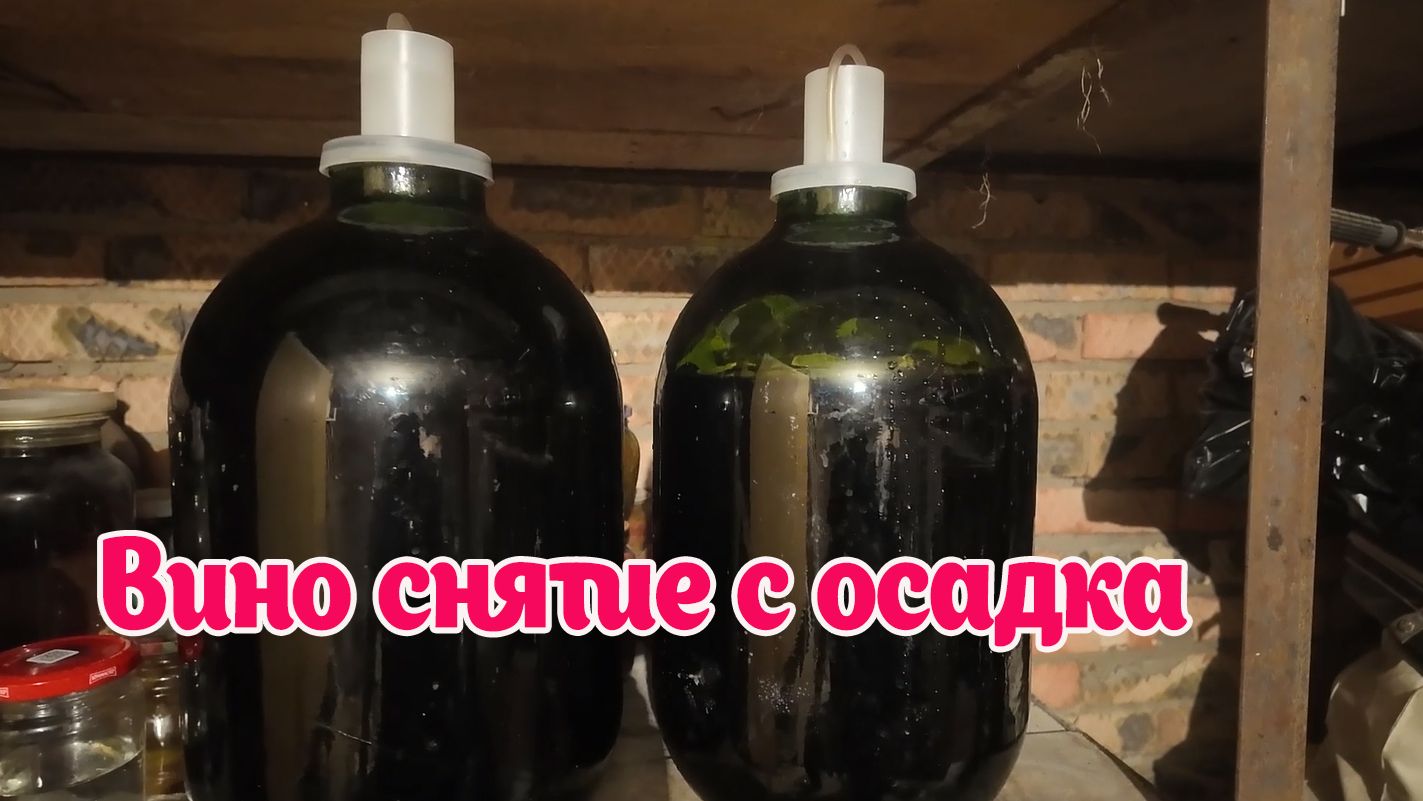 Вино снимают с осадка, чтобы очистить его от отмерших дрожжей, частиц фруктов и винного камня. смотреть онлайн