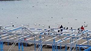 26.01.2026 Пляж Высокий берег.Анапа