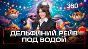 Открытие BBC: Дельфины ловят кайф от фугу