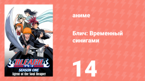 Блич: Временный синигами 14 серия (аниме-сериал, 2004)