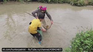 🎣📌 Слив донных отложений из заброшенных рыбоводных прудов | Заготовка крупного карпа и тилапии