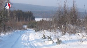 В 2026 году сотрудники лесничеств Свердловской области проведут свыше 19 тысяч выездов и обходов