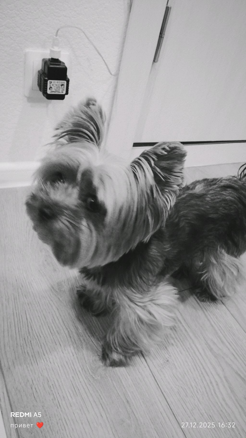 привет , как дела ❤️❤️ смотреть онлайн