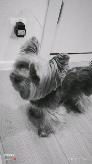 привет , как дела ❤️❤️