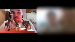 Сенсомоторная алалия и апраксия: от нуля в понимании и речи до ОНР-2 за 14 месяцев (возраст: 4,4 г)