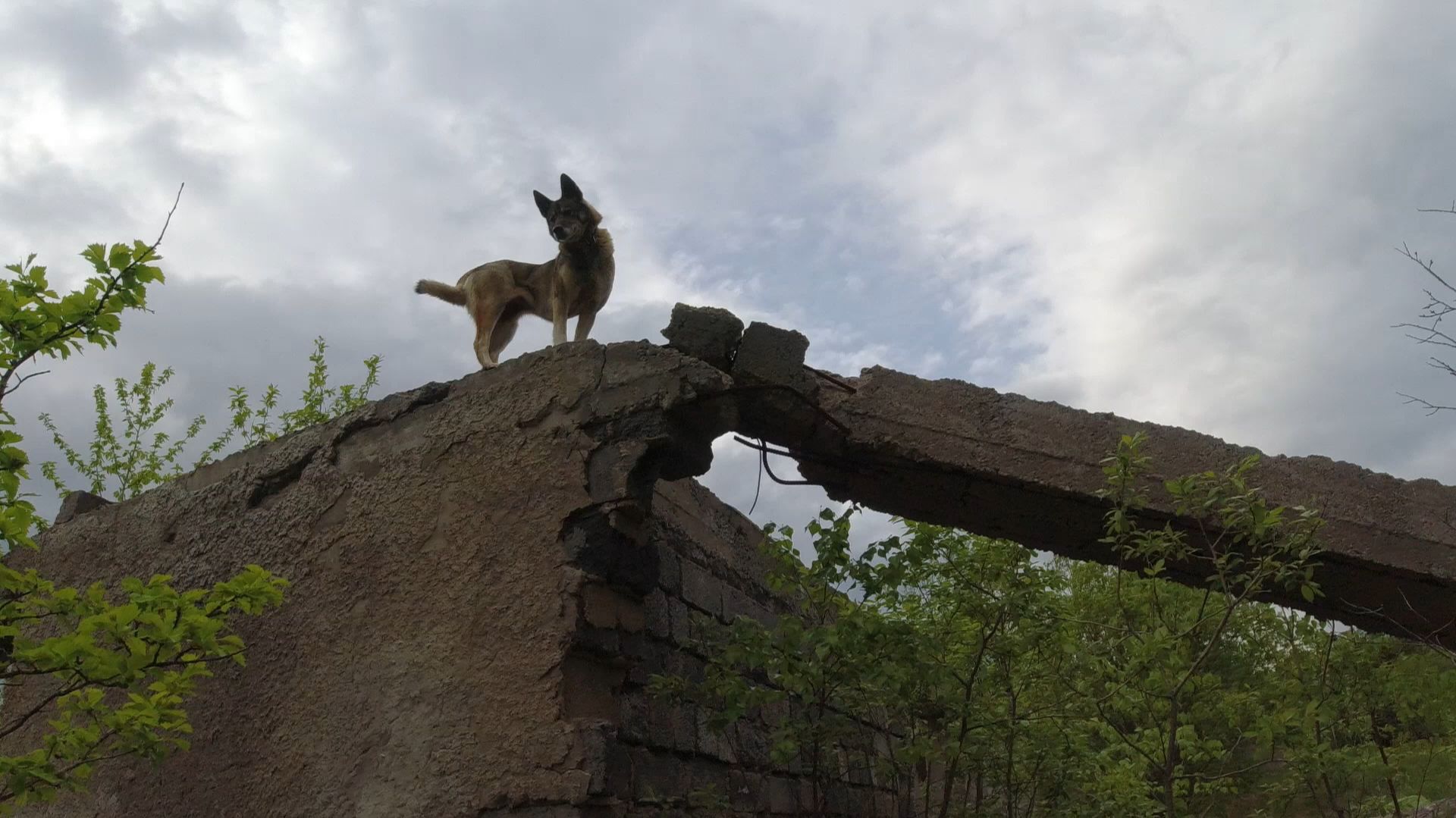 Замечательное место для металлокопа.Новое место смотреть онлайн