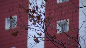 ДОСТУПНОЕ ЖИЛЬЕ