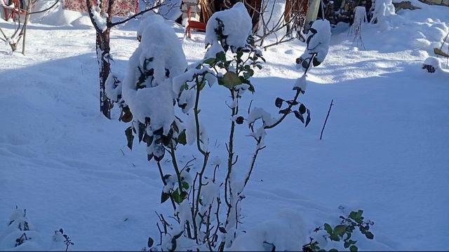 Пушистая зима смотреть онлайн