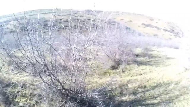 Супер охота на зайца смотреть онлайн