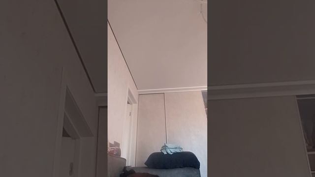 баскет смотреть онлайн