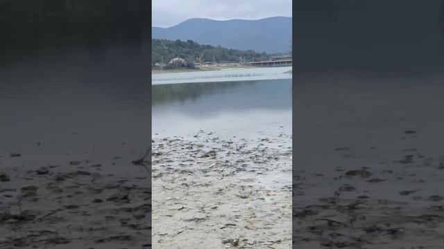 Ледяные аномалии Кипарисового озера Сукко. Показывает и рассказывает Светлана Тихонова 26.01.2026 смотреть онлайн