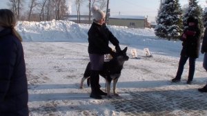 HDV_5791юниоры Шархан