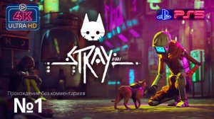 Stray - №1 (4К, PS5, no comments)
