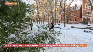 А за окном. 26 января 2026