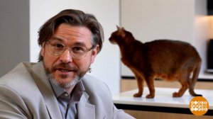 "Новый налог" от мошенников. Доброе утро. Фрагмент выпуска от 26.01.2026