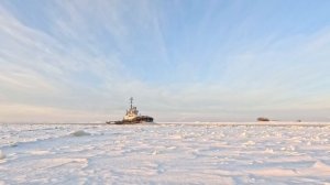 Прогулка к о. Голова Дамбы, с элементами рыбалки и бёрдвотчинга. Встретил прекрасный закат, с чайком