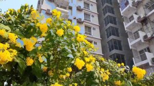 Бангладеш. Строительство АЭС "Руппур". Место проживания строителей АЭС в городке Грин Сити