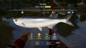 Русская Рыбалка 4-Новогодние Экстра Задания 2026: Используя леску не более 1,5 кг р. Северский донец