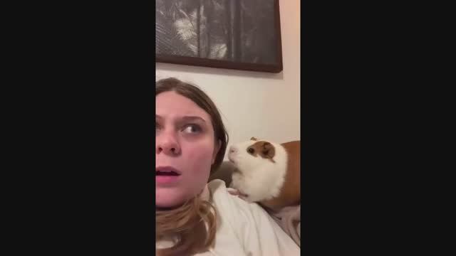 #смешныевидео -787 смотреть онлайн