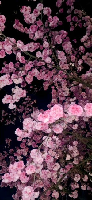 привет 💋☺️