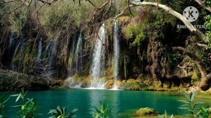 мы родились в Сибири//друзей больше нет//а были?//обзор канала