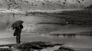 Что у Мужчины в доме 🏡 на сердце 💔 в любви прямо сейчас 🤔 
#таро#гадание